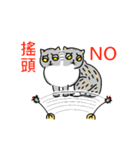 Come and play with squirrel cats（個別スタンプ：30）