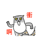 Come and play with squirrel cats（個別スタンプ：32）