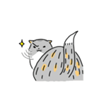 Come and play with squirrel cats（個別スタンプ：33）