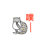 Come and play with squirrel cats（個別スタンプ：35）