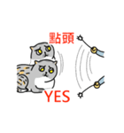 Come and play with squirrel cats（個別スタンプ：37）