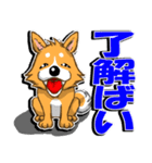 九州男犬 3rd（個別スタンプ：1）