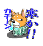九州男犬 3rd（個別スタンプ：7）