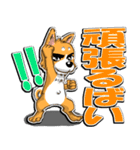 九州男犬 3rd（個別スタンプ：19）