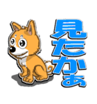 九州男犬 3rd（個別スタンプ：27）