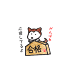 わんこたちのお絵かきスタンプ（個別スタンプ：35）
