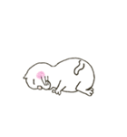 ミーのネコ（個別スタンプ：28）