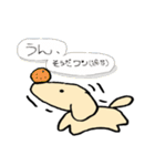 うちの犬に似ている3（個別スタンプ：11）