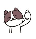 ネコのたまきさん（個別スタンプ：2）