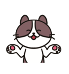 ネコのたまきさん（個別スタンプ：3）