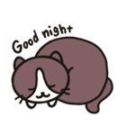ネコのたまきさん（個別スタンプ：6）