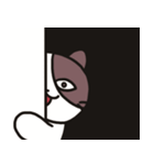 ネコのたまきさん（個別スタンプ：7）