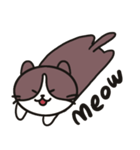 ネコのたまきさん（個別スタンプ：9）