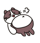 ネコのたまきさん（個別スタンプ：13）