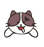 ネコのたまきさん（個別スタンプ：26）