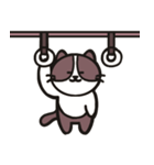 ネコのたまきさん（個別スタンプ：28）