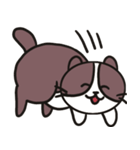 ネコのたまきさん（個別スタンプ：36）