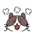 ネコのたまきさん（個別スタンプ：40）