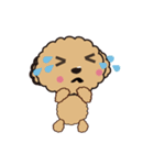 comomo every day（個別スタンプ：10）
