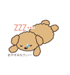 comomo every day（個別スタンプ：17）