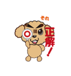 comomo every day（個別スタンプ：19）