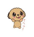 comomo every day（個別スタンプ：21）