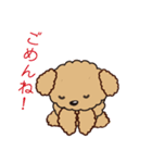 comomo every day（個別スタンプ：23）