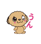 comomo every day（個別スタンプ：30）