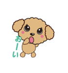 comomo every day（個別スタンプ：31）