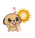 comomo every day（個別スタンプ：36）