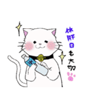 salmon cat（個別スタンプ：2）