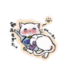 salmon cat（個別スタンプ：3）