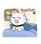 salmon cat（個別スタンプ：6）