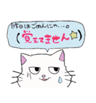 salmon cat（個別スタンプ：8）