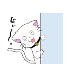 salmon cat（個別スタンプ：9）