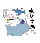 salmon cat（個別スタンプ：13）