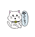 salmon cat（個別スタンプ：15）