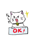 salmon cat（個別スタンプ：16）