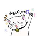 salmon cat（個別スタンプ：17）