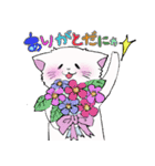salmon cat（個別スタンプ：18）