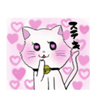 salmon cat（個別スタンプ：21）