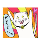 salmon cat（個別スタンプ：22）