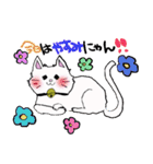 salmon cat（個別スタンプ：23）