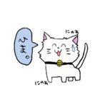 salmon cat（個別スタンプ：25）