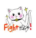 salmon cat（個別スタンプ：26）
