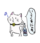salmon cat（個別スタンプ：27）