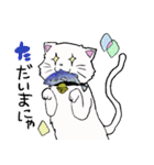 salmon cat（個別スタンプ：28）