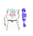 salmon cat（個別スタンプ：30）