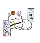 salmon cat（個別スタンプ：33）
