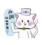 salmon cat（個別スタンプ：37）